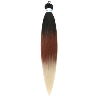 Easy Braid 3T-2(1B+30+613)