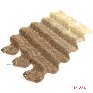 Body Wave/Hollywood T12/22A (300g,55cm)