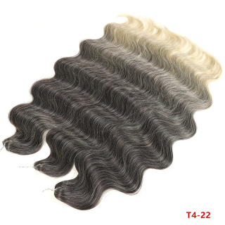 Body Wave/Hollywood T4/22 (300g,55cm)