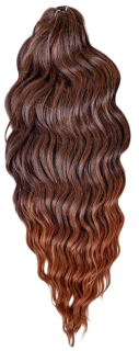 Anna T433/27+350 (100g,55cm)