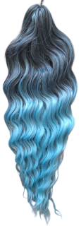 Anna  T-GBlue25 (300g,55cm)