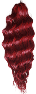 Anna ROUGE MIX1