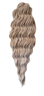 Anna  T16A/LGL5(300g,55cm)