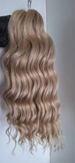 Anna 613F (100g,40 cm)