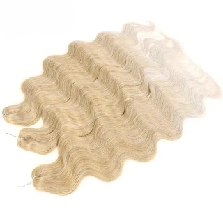 Hollywood T16A-56C (100g,55cm)